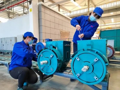 發(fā)電機 船用  陸用圖5