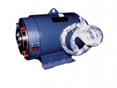 發(fā)電機 船用  陸用圖9