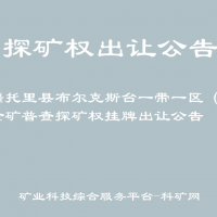 新疆托里縣布爾克斯臺(tái)一帶一區(qū)（1）金礦普查探礦權(quán)掛牌出讓公告