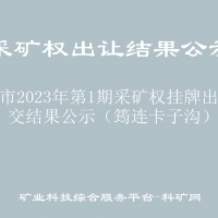 宜賓市2023年第1期采礦權(quán)掛牌出讓成交結(jié)果公示（筠連卡子溝）