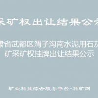 甘肅省武都區(qū)渭子溝南水泥用石灰?guī)r礦采礦權(quán)掛牌出讓結(jié)果公示