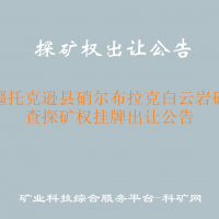 新疆托克遜縣硝爾布拉克白云巖礦普查探礦權(quán)掛牌出讓公告
