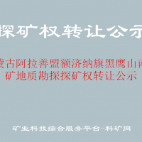 內(nèi)蒙古阿拉善盟額濟(jì)納旗黑鷹山南鐵礦地質(zhì)勘探探礦權(quán)轉(zhuǎn)讓公示