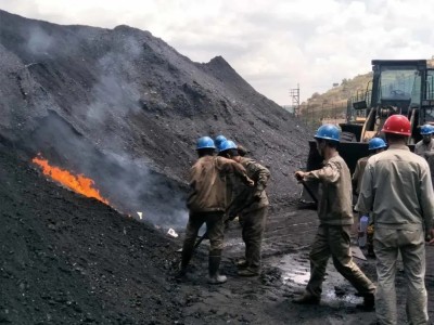 微生物技術(shù)煤炭防自然圖2