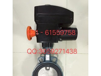 原裝正品德國依博羅角行程電動執(zhí)行器 E50-E210圖2