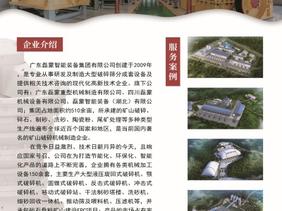 廣東磊蒙智能裝備集團(tuán)有限公司